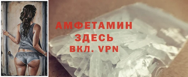 мдпв Богородск