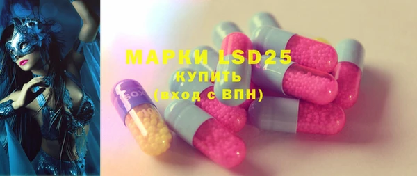 мдпв Богородск