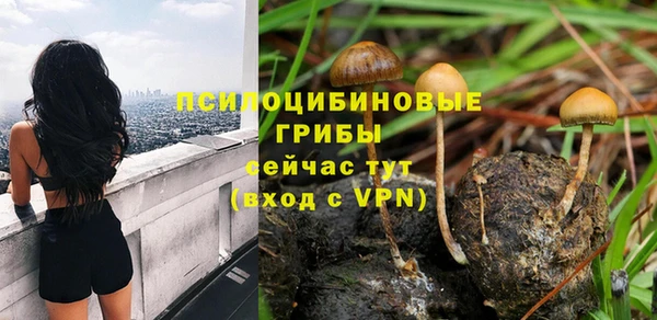 мдпв Богородск