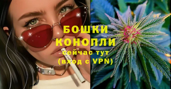 каннабис Белокуриха