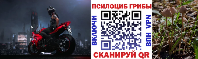 Галлюциногенные грибы прущие грибы  Старица 